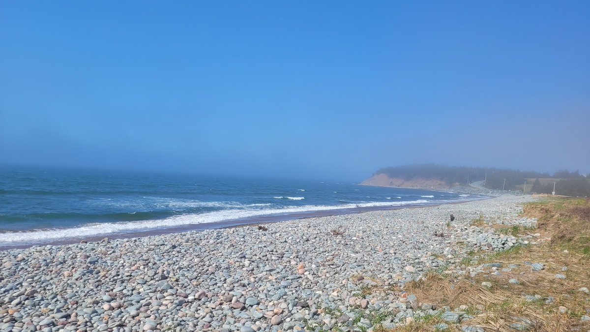 I made it to the beach ! What a beautiful morning ! ⛱️🏝🌊☀️🇨🇦
#MyHappyPlace #NovaScotia #BeachLife