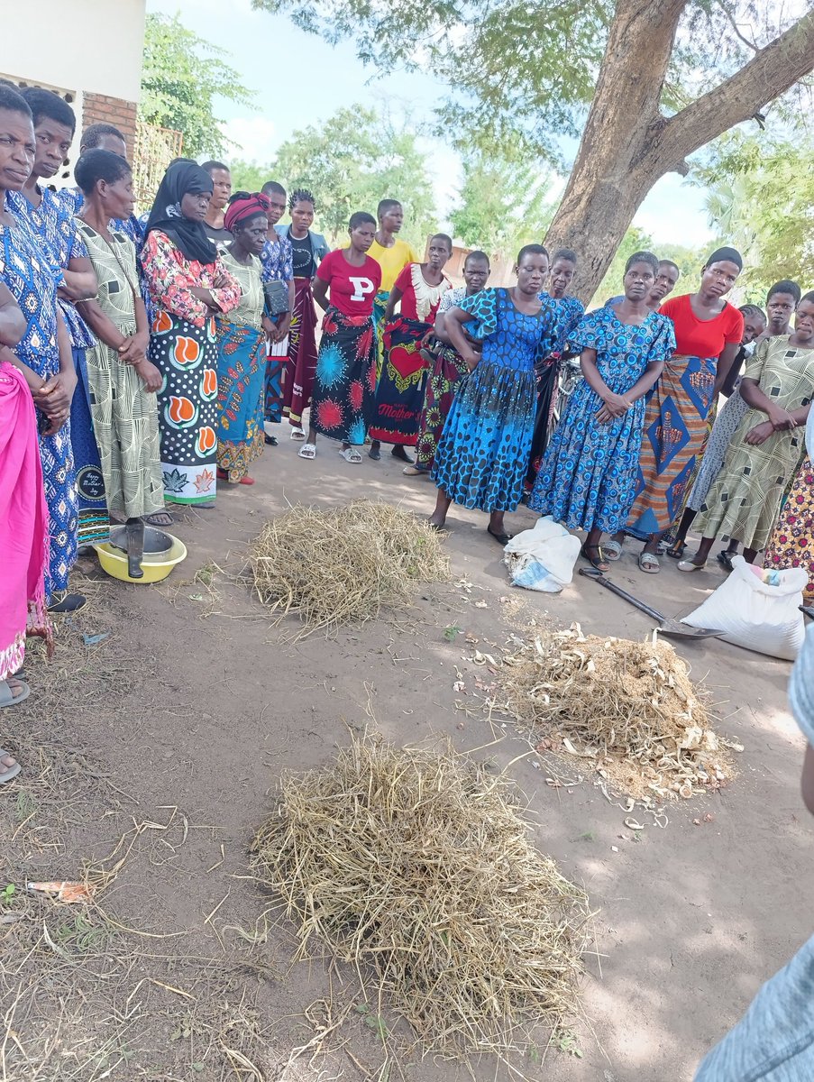 Thrilled to see 292 women and girls in Zomba trained in briquette production under the @wrdhub Project! This initiative promotes sustainable energy and empowers women with business skills for a brighter, resilient future. #SustainableEnergy #ClimateResilience