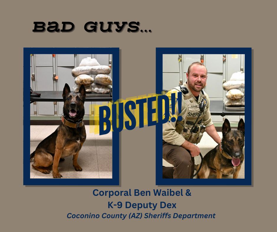 Meet another K9 hero &his handler dedicated to keeping our streets safe from drugs! During a recent stop, K9 Dex & Corporal Ben Waibel of the Coconino County (AZ) Sheriff's Department found &seized 35 pounds of methamphetamine. The driver was arrested & charged. Great job K9 Dex!