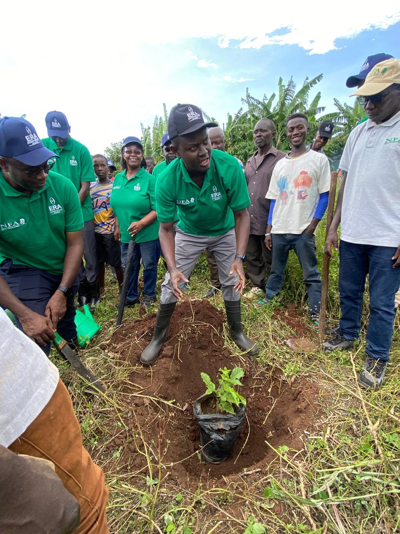 16/5/24: @NFAUG in partnership with @ERA_Uganda launched a restoration of 15(ha) in Mabira Forest. This initiative is a symbol of our commitment to a sustainable future. The key message in this launch was that that collaboration is to protect the forest & ensure sustainability.