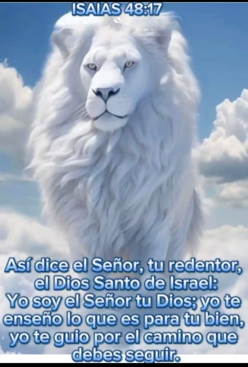 Hija de Dios tweet media