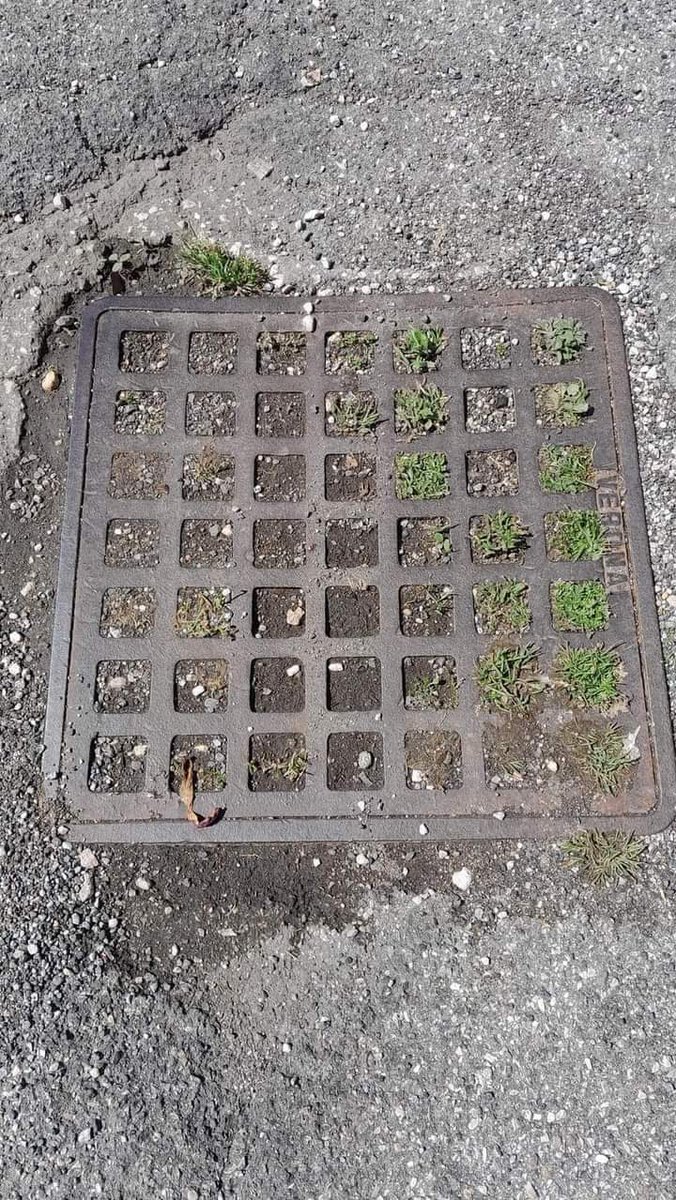 ___Anna22's tweet image. Cambiamento climatico