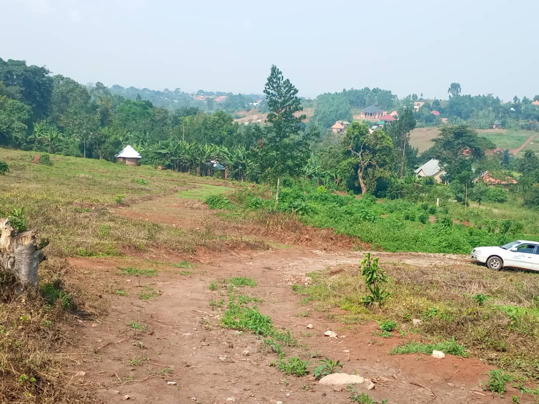 PLOTS ON SALE
#PraisePropertyConsultsUganda

SEMUTO TOWN ESTATE,

The estate starts from the main tarmac road.

All plots have land titles

Electricity & water are at site. 

Each 50*100ft at UGX 10m

We accept  monthly installments