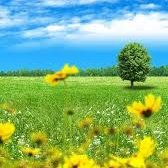 صباح الخير🌷...
لگل مَن في اِبتسامتهُم صَبــاح
وفـي حُروفِهم ود..وفـي گلماتِهم نَغم ♬

      لِمن لا يَحلو الصبــاحَ إِلا بِهــم