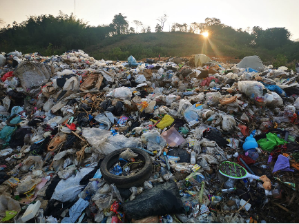 Rebecca Brown tweet media