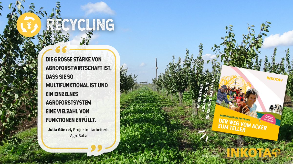 #Agrarökologie beruht auf 13 Prinzipien, die zeigen, wie ein sozial gerechtes & ökologisch nachhaltiges Ernährungssystem, gelingen kann. Dazu gehört auch #Recycling. @Agroforst_DeFAF untersucht in einem Projekt, wie sich Agroforstwirtschaft für Kreislaufwirtschaft eignet.