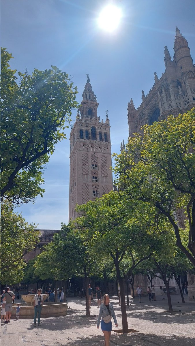 robert cleary tweet media