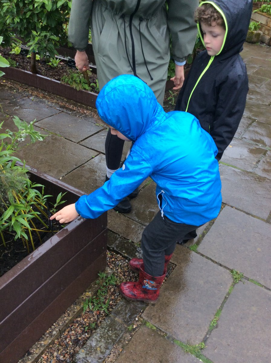 AberfordPrimary's tweet photo. Yesterday Class 1 & 2 visited Harlow Carr. Even though it was very wet, it didn't stop us having a fabulous time and learning lots of interesting facts. We even got to plant one of our own seeds to take home. #schooltrip #aberfordceprimary #class2 #howthingsgrow #harlowcarr https://t.co/jzM3xhDOVw