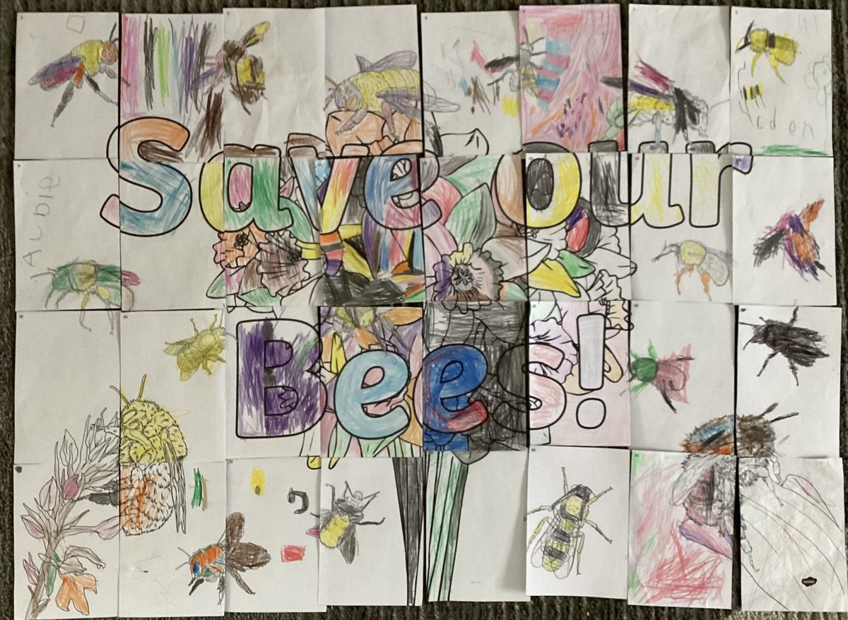 Another activity Reception completed as part of World Bee Day was to all colour in a part of a big picture to save our bees. We love our finished picture! #WorldBeeDay 🐝🐝 @ElliotSchools @BirminghamEdu