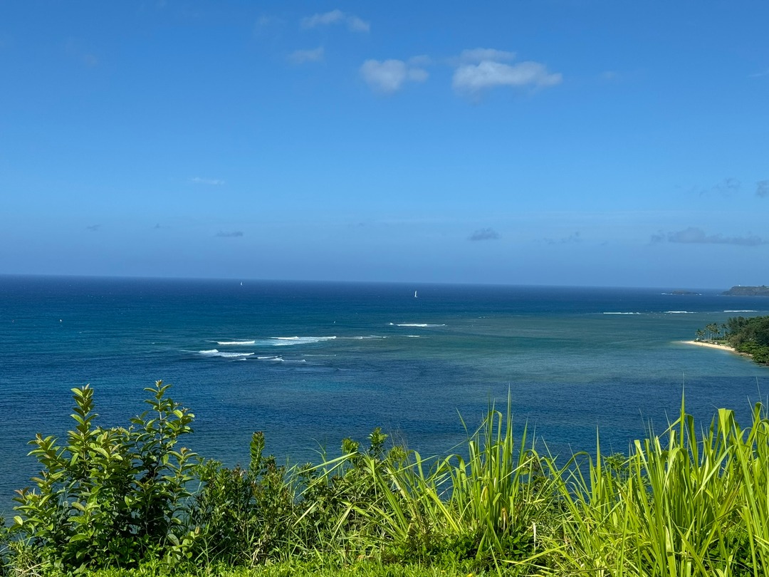 Change in location. #Kauai

Time for a new beach.
And a brand-new Tiki bar.
And that's just a start.

#kbco #haiku #travel #cruise #rivercruise #ABD #Disney #DisneyWorld #Disneyland #DCL #DisneyCruiseLine #Azamara #AmaWaterways #VirginVoyages

linktr.ee/2talltom