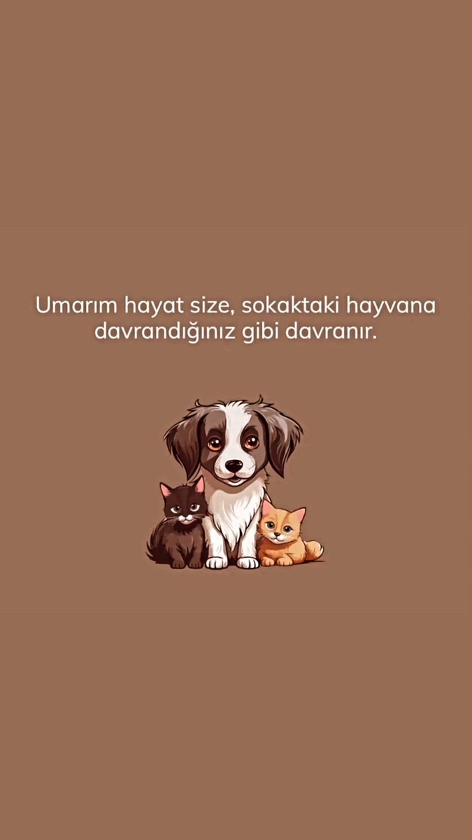 Izzet Capa (@izzetcapa) on Twitter photo 