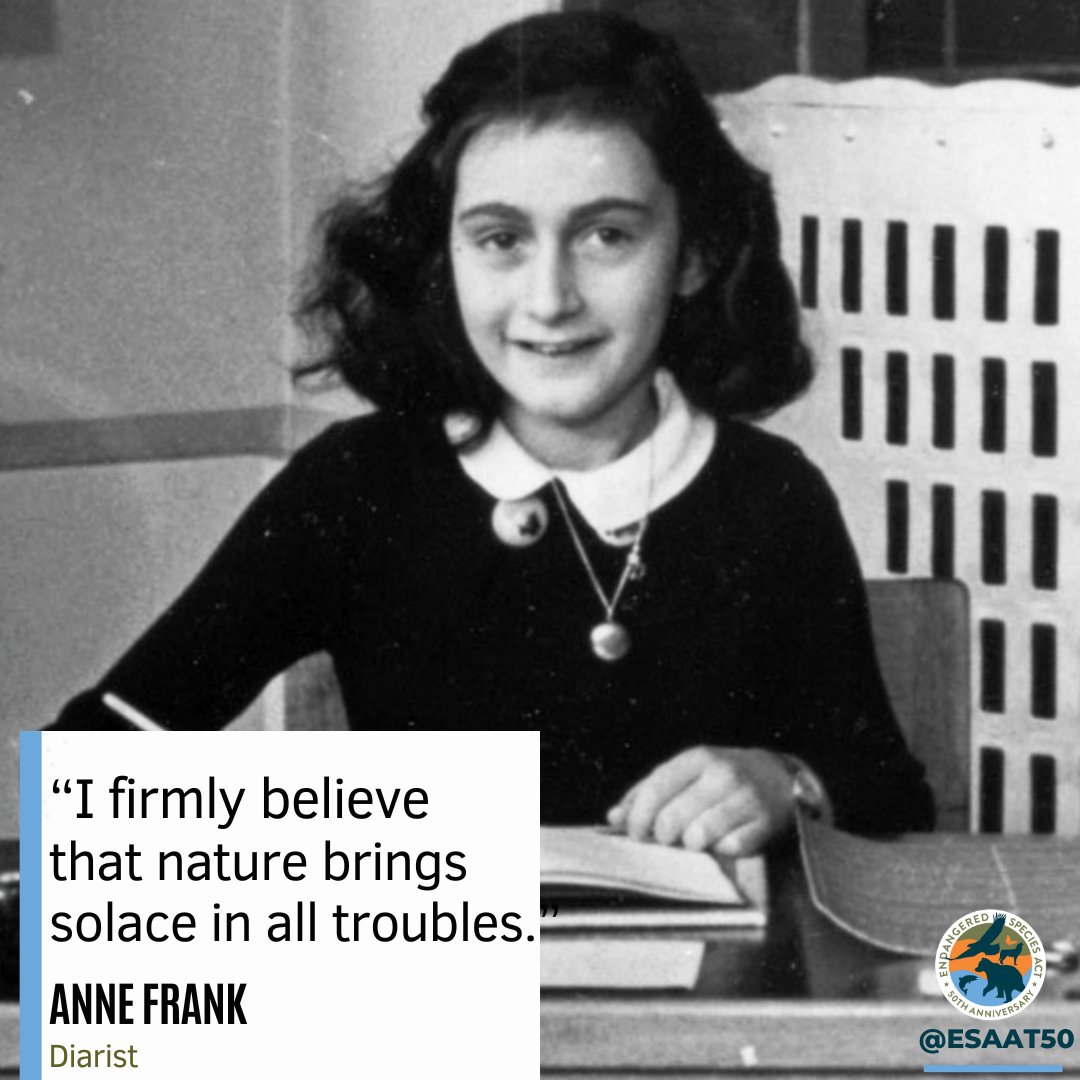 ESA at 50 tweet media