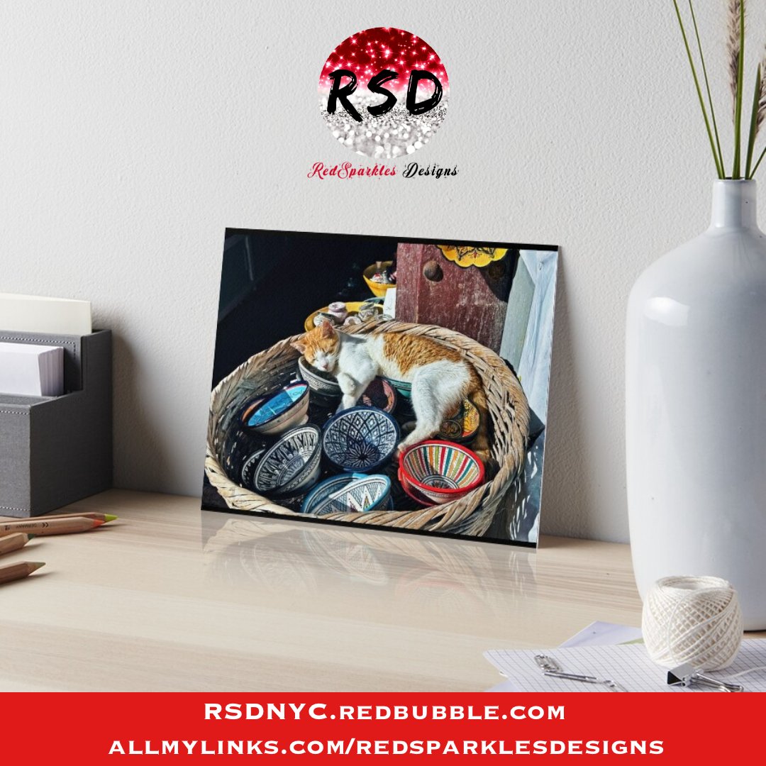 ESSAOUIRA MOROCCO BOWL KITTY ART BOARD PRINT via @redbubble 
redbubble.com/i/art-board-pr…

#RedBubble #RedBubbleStore #RSD #RedSparklesDesigns #GiftIdeas #Photography #TravelPhotography #Travel #Morocco #CatPhotography #Cat #CatsOfTwitter #CatLovers #HomeDecor #WallArt #PhotoPrints