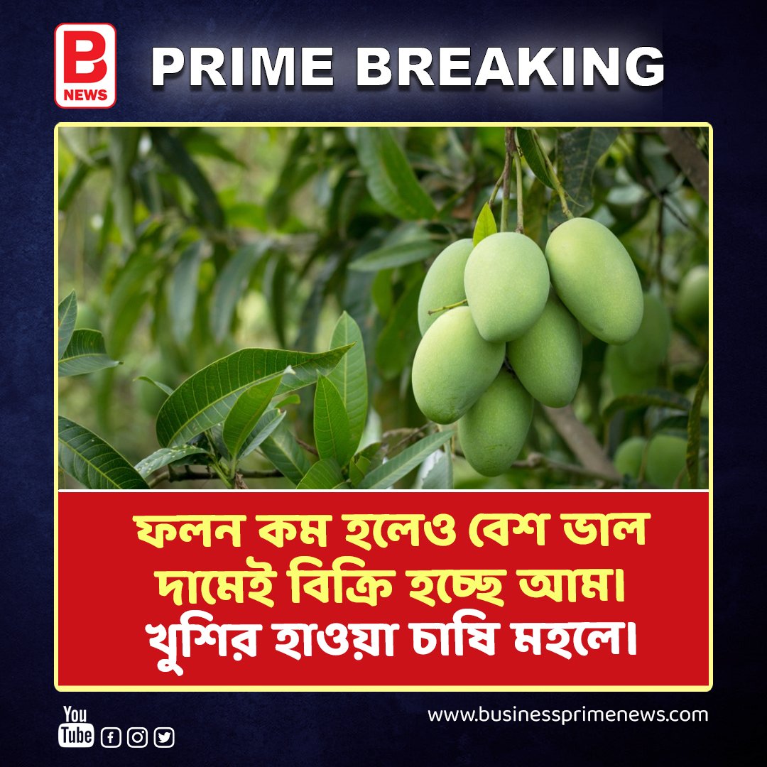 ফলন কম হলেও বেশ ভাল দামেই বিক্রি হচ্ছে আম। Mango Farmers Are Happy Because Prices Have Increase | BPN . . #businessprimenews #mangofarming #mangoprice #increase #bardhamannews #westbengalnews #viralnews