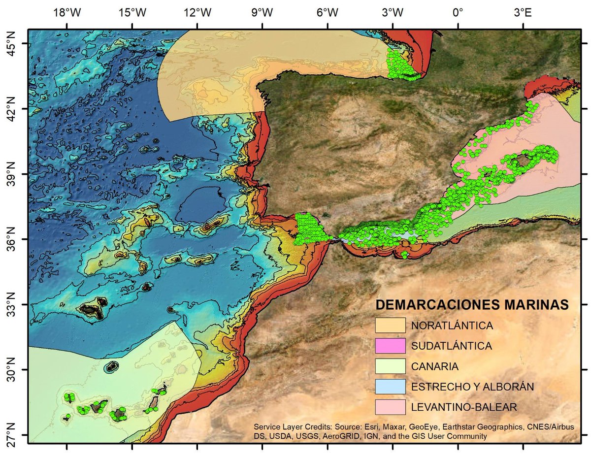 Geociencias Marinas (IEO) (@gemar_ieo) on Twitter photo Gracias a #ESMARES el #SediLab marino del <a href="/IEO_Malaga/">IEO Málaga 🌊⛴️🐟🌡️🔬</a> ha recopilado la información sedimentológica con la que contamos para conocer el tipo de sustrato y su composición en las distintas demarcaciones
Un trabajo de arqueología de datos impresionante...y de continua actualización Gracias a #ESMARES el #SediLab marino del <a href="/IEO_Malaga/">IEO Málaga 🌊⛴️🐟🌡️🔬</a> ha recopilado la información sedimentológica con la que contamos para conocer el tipo de sustrato y su composición en las distintas demarcaciones
Un trabajo de arqueología de datos impresionante...y de continua actualización