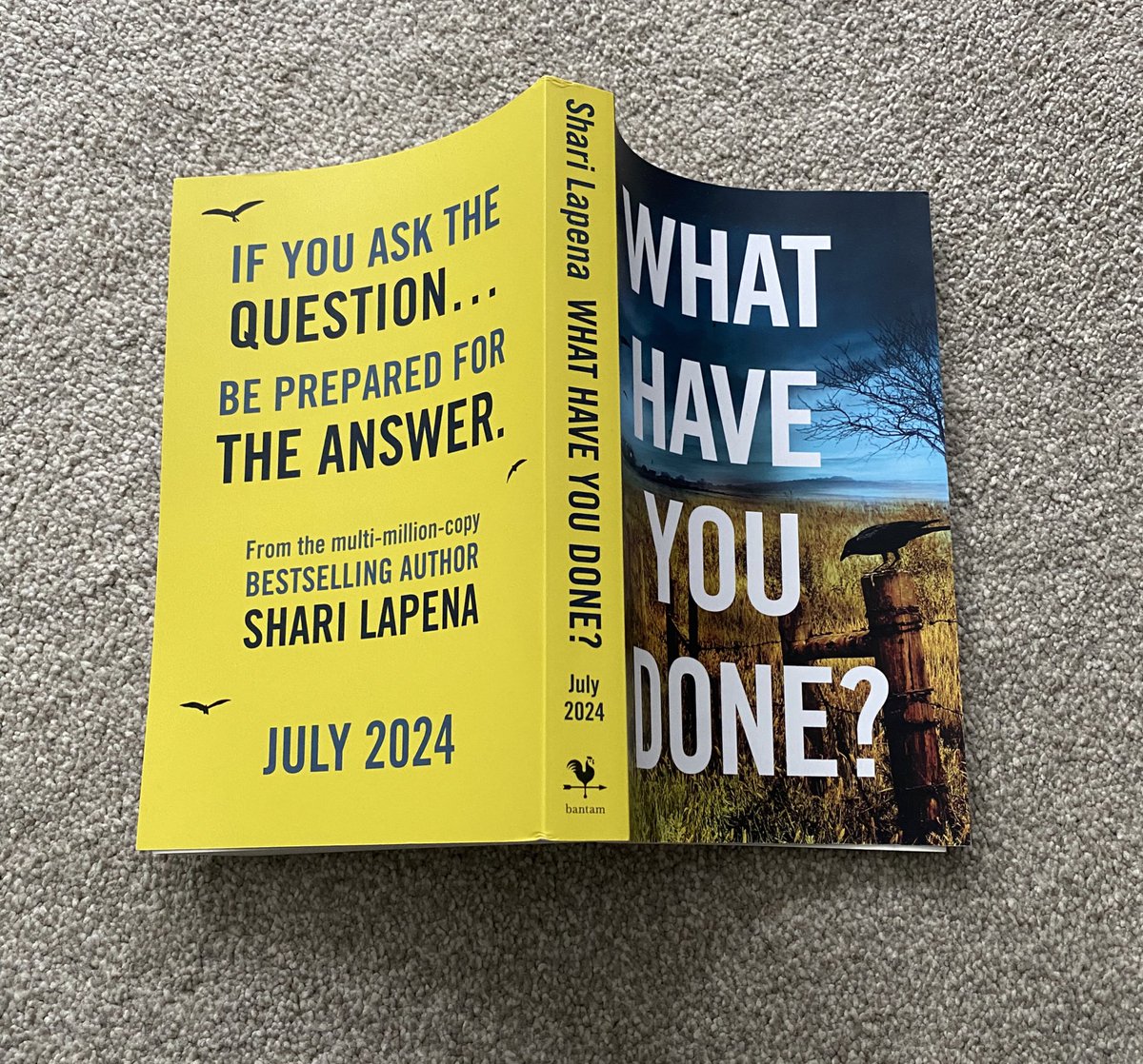 Many thanks to @ThomasssHill @TransworldBooks for my copy of #WhatHaveYouDone by @sharilapena Out 18th July. Sounds fab! #booktwitter #booktwt #bookX