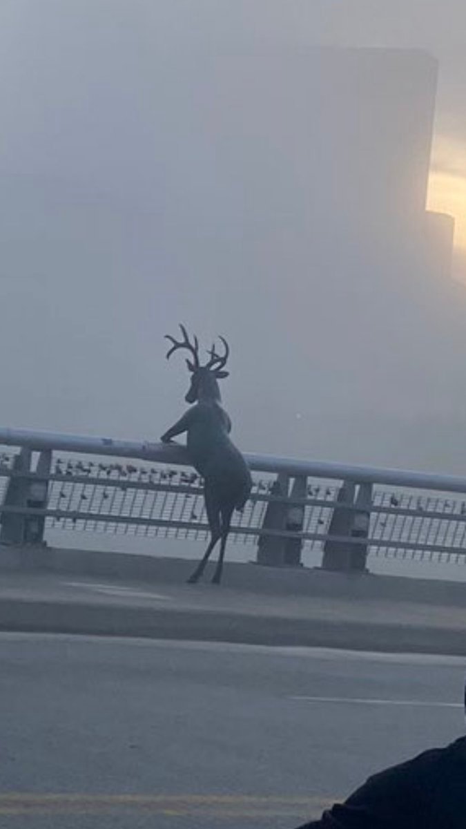 Hiçbir şey
Hiçbir şey öğrenmemişim gibi 
#yks2024