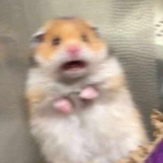 <a href="/MonstersCoins/">The Crypto Monster 🍪🍪</a> Can’t wait for $cuy to be on top of the world

The infinite hamster 🐹 
Twitter: x.com/Cuy_CTO
TG: t.me/cuyonsolana