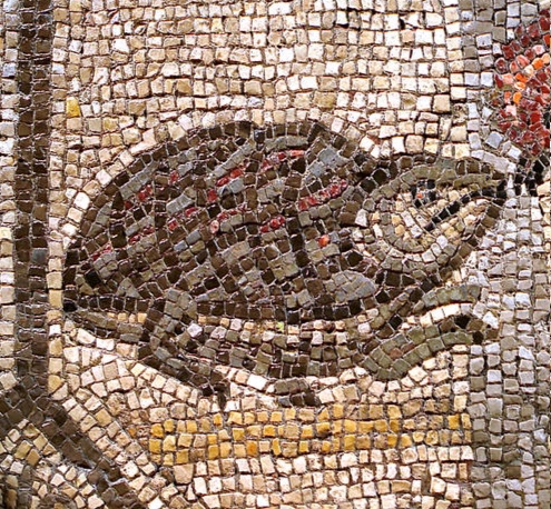 To celebrate #WorldTurtleDay a #Roman mosaic depicting a turtle, from the Basilica of Aquilea, 4th C. The day was created in 2000 by the #AmericanTortoiseRescue to raise awareness about turtles & tortoises, their disappearing habitats, & to encourage their protection.