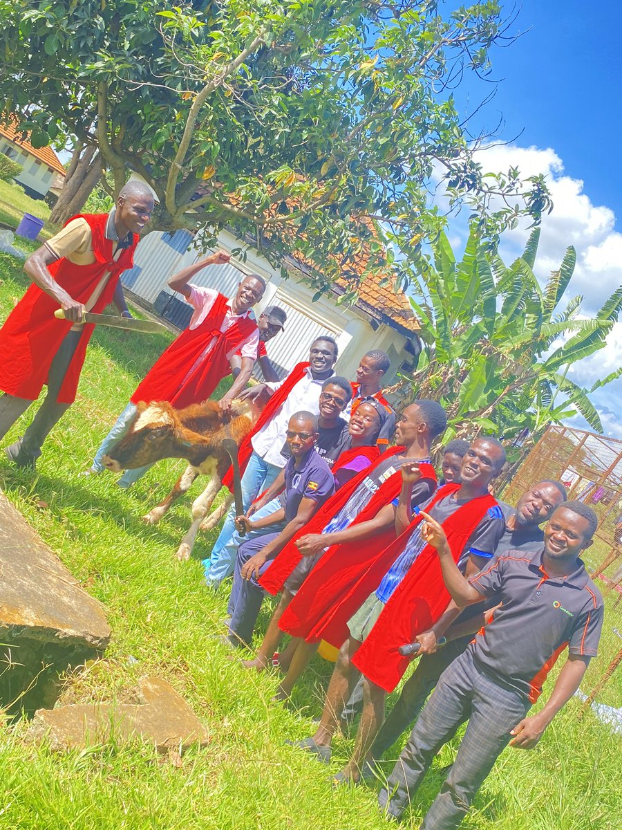 ismail_swaib's tweet photo. As we come to the end of our stay at #KABANYOLO I would like to Appreciate my class 22/U BSc. Agriculture 

Thank you for entrusting me with leadership and for your unwavering support and collaboration. I'm honored to have worked alongside such a talented and dedicated class✨ https://t.co/N60Q4i49Em