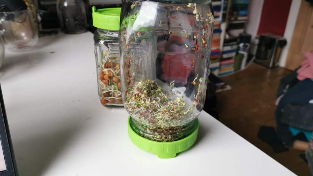 Zoe_Parker's tweet image. #justonemore @foodwiseleeds @ZestLeeds from  @philkirby is a nutritious and low cost way to get low carbon greens everyday!