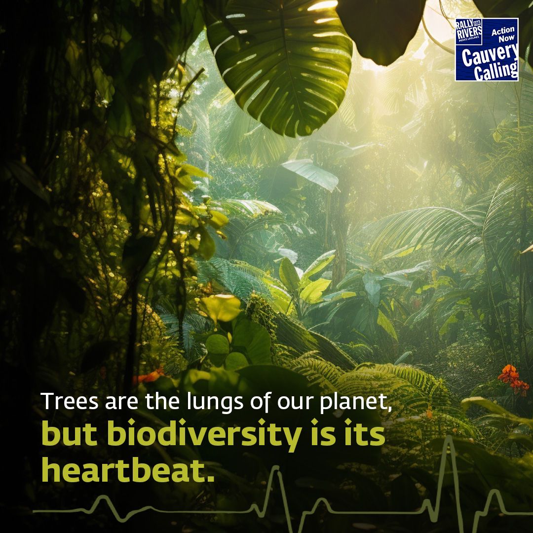Trees for life and a biodiverse future! This #InternationalDayForBiologicalDiversity, Cauvery Calling highlights the link between green cover & biodiversity.
How can we create a future where humans and nature can thrive? Let's talk about solutions!  #CauveryCalling #ClimateAction