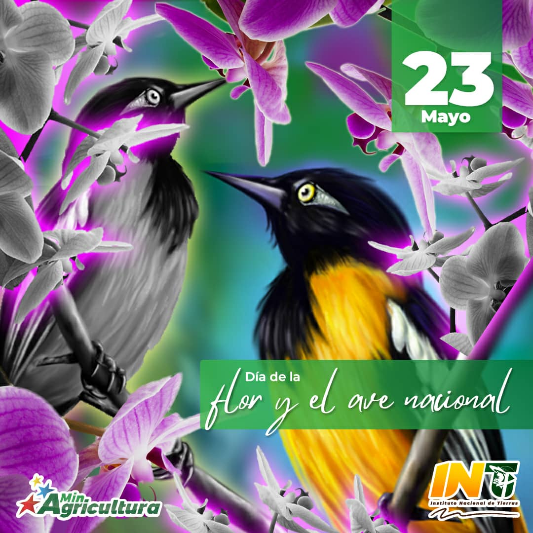 #23May | Hoy celebramos el Día de la Flor y del Ave Nacional, es por ello que enaltecemos la belleza de la Orquídea y el Turpial como los símbolos naturales de Venezuela.