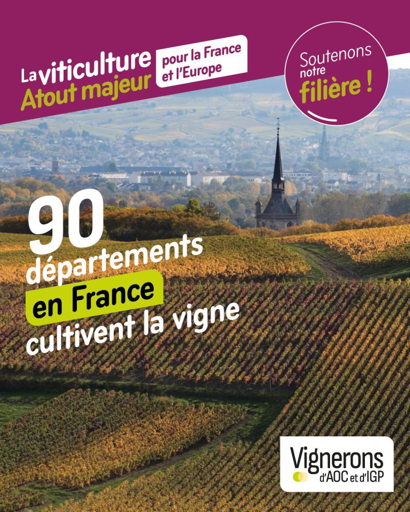 #ElectionsEuropéennes2024 : La filière vin joue un rôle considérable dans l’économie de nos territoires 🇫🇷Mobilisons-nous pour préserver la politique de qualité de nos vins #AOC et #IGP en UE. Parmi les candidats, nous comptons sur le RN : <a href="/J_Bardella/">Jordan Bardella</a> <a href="/GrisetCatherine/">Catherine Griset</a> <a href="/MAndrouet/">Mathilde Androuët</a>