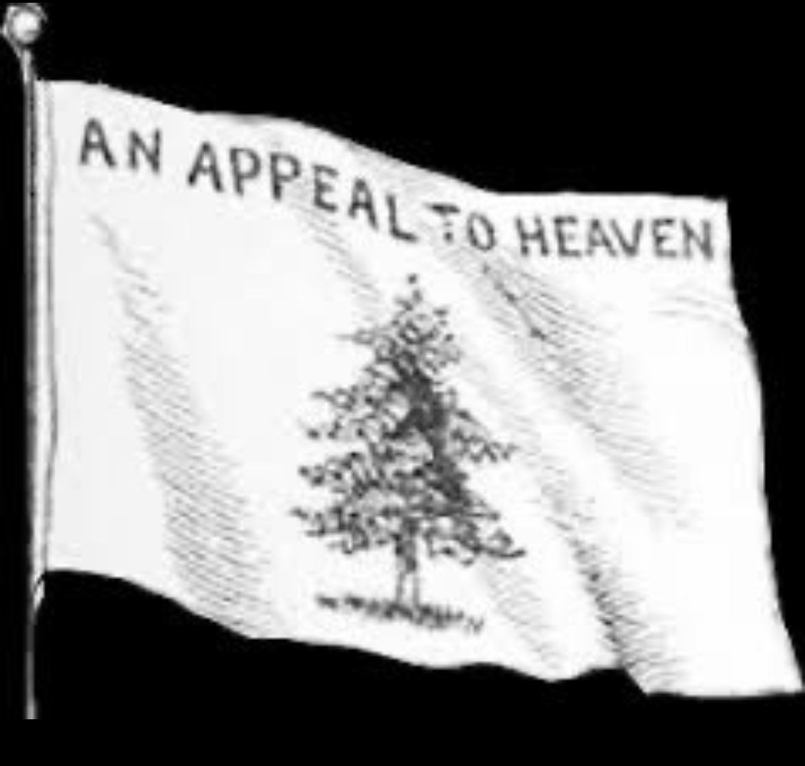 I stand for freedom of speech and for ANYONE who wants to fly whatever damn flag they want to fly. On this day, I will “fly” the historic “Appeal to Heaven Flag”! God Bless America 🇺🇸 and for those communists in our midst—you can all GTH!!!