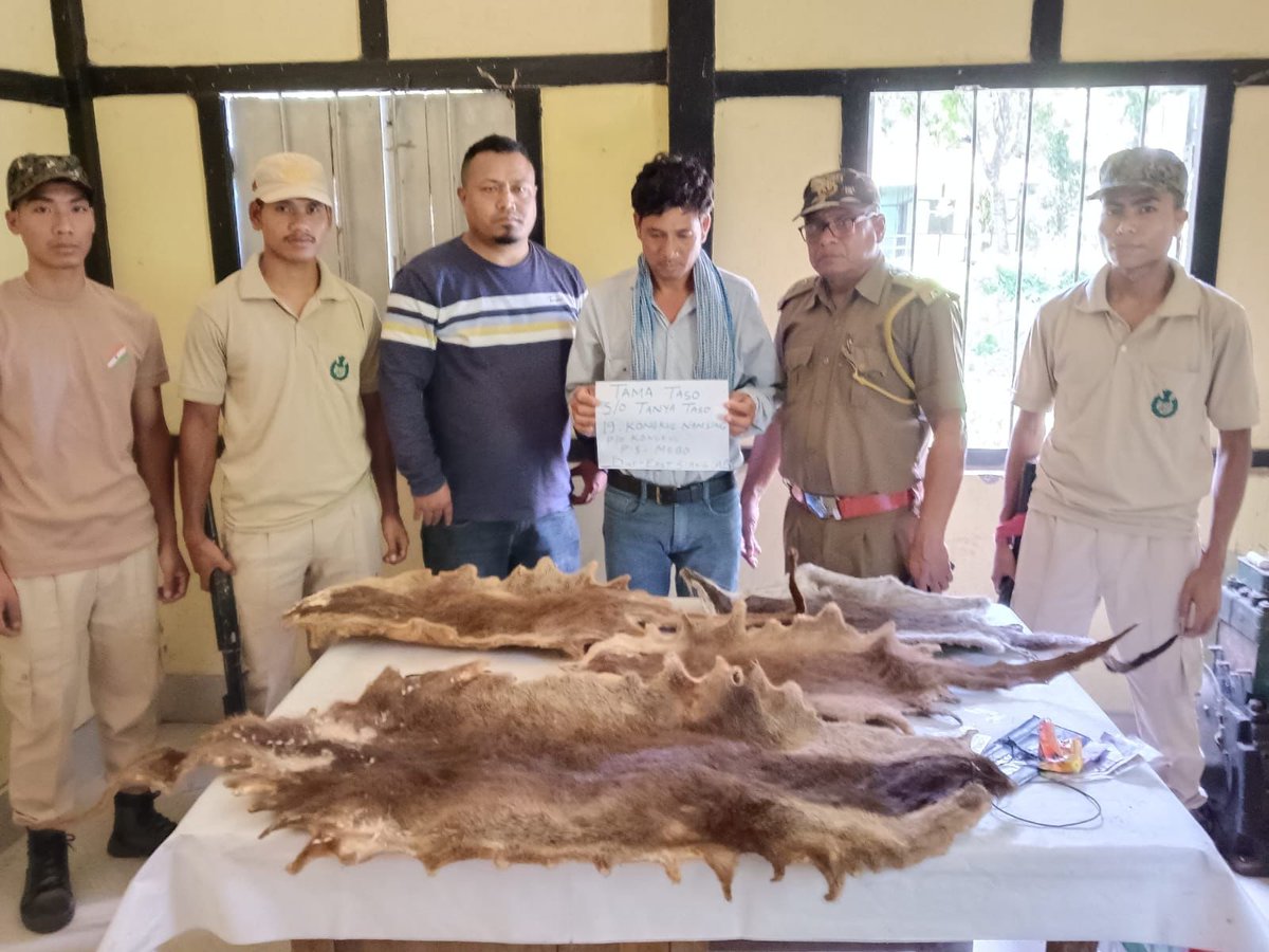 Commendable job by Dhemaji Forest Division.
One Tama Tasso of East Siang Dist,  Arunachal Pradesh was arrested today along with 4 nos. of Otter skin during a joint operation with sleuths of Wildlife Crime Control Bureau at Jonai in Dhemaji dist.
@CMOfficeAssam @cmpatowary @WCCBHQ