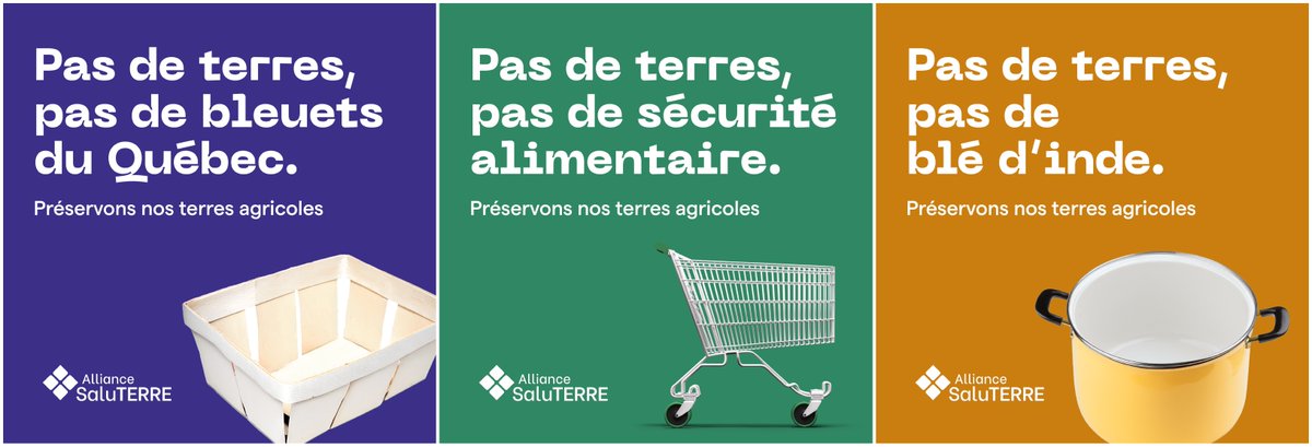 « On veut que les gens fassent le lien : si on perd toujours plus de terres, ce sont moins d’aliments de notre terroir dans nos assiettes. 

On perd une part de qui nous sommes et on hypothèque notre sécurité alimentaire.» 

-@CaroleAnneLapi1, porte-parole de SaluTERRE