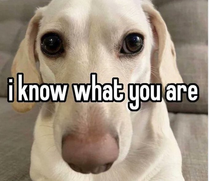 Barista: did you see the lady outside yelling about the demons?   Me: she&rsquo;d tried to get my attention