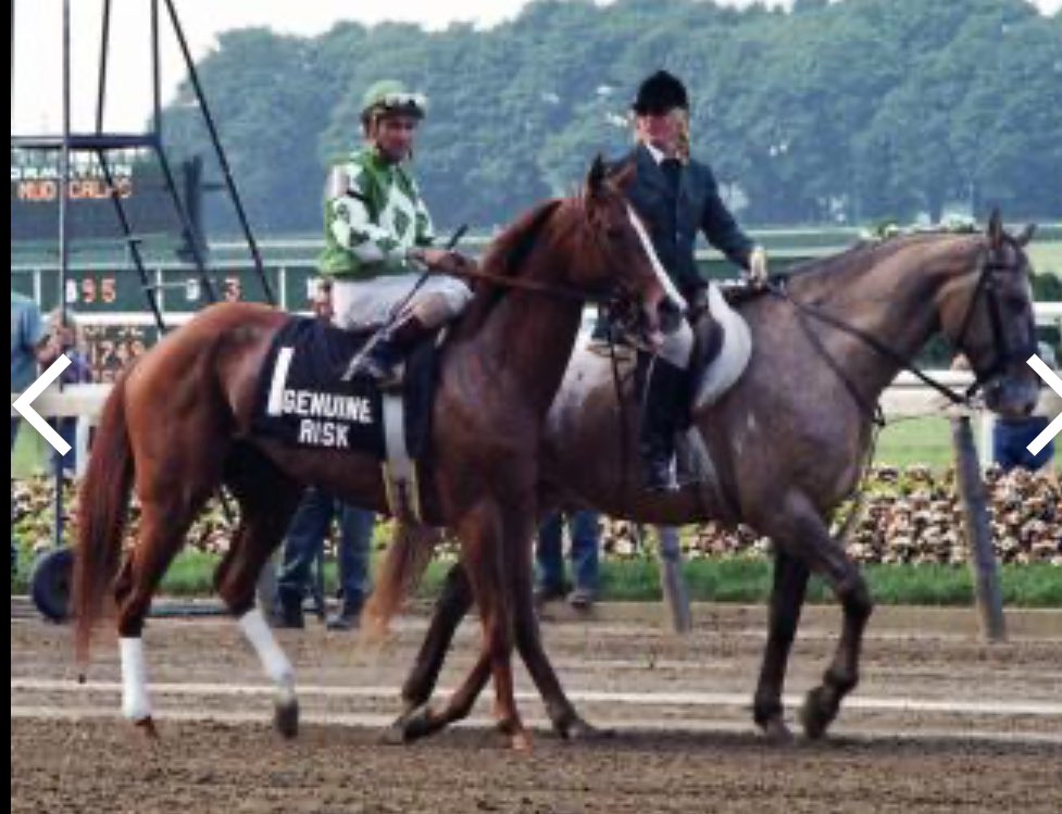 It's underrated racehorses Time A-Z Name an 'underrated' racehorse from any era beginning with the letter 'G’ I'll kick it off today with ........GENUINE RISK!!! Genuine Risk was the second filly in 1980 to win the Derby and ran 2nd in a very controversial Preakness