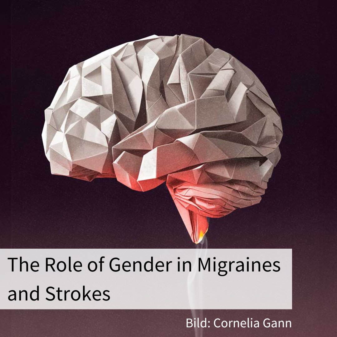 The sex hormone estrogen protects women from migraines and strokes. And yet more women suffer a brain stroke than men. Neurologist Susanne Wegener is researching the causes: news.uzh.ch/en/articles/ne… @SuseWegener #gendermedicine