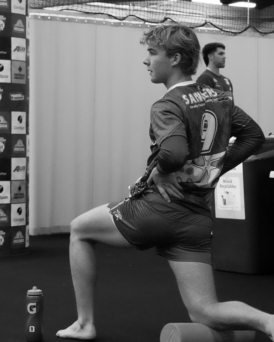 Western Bulldogs tweet media