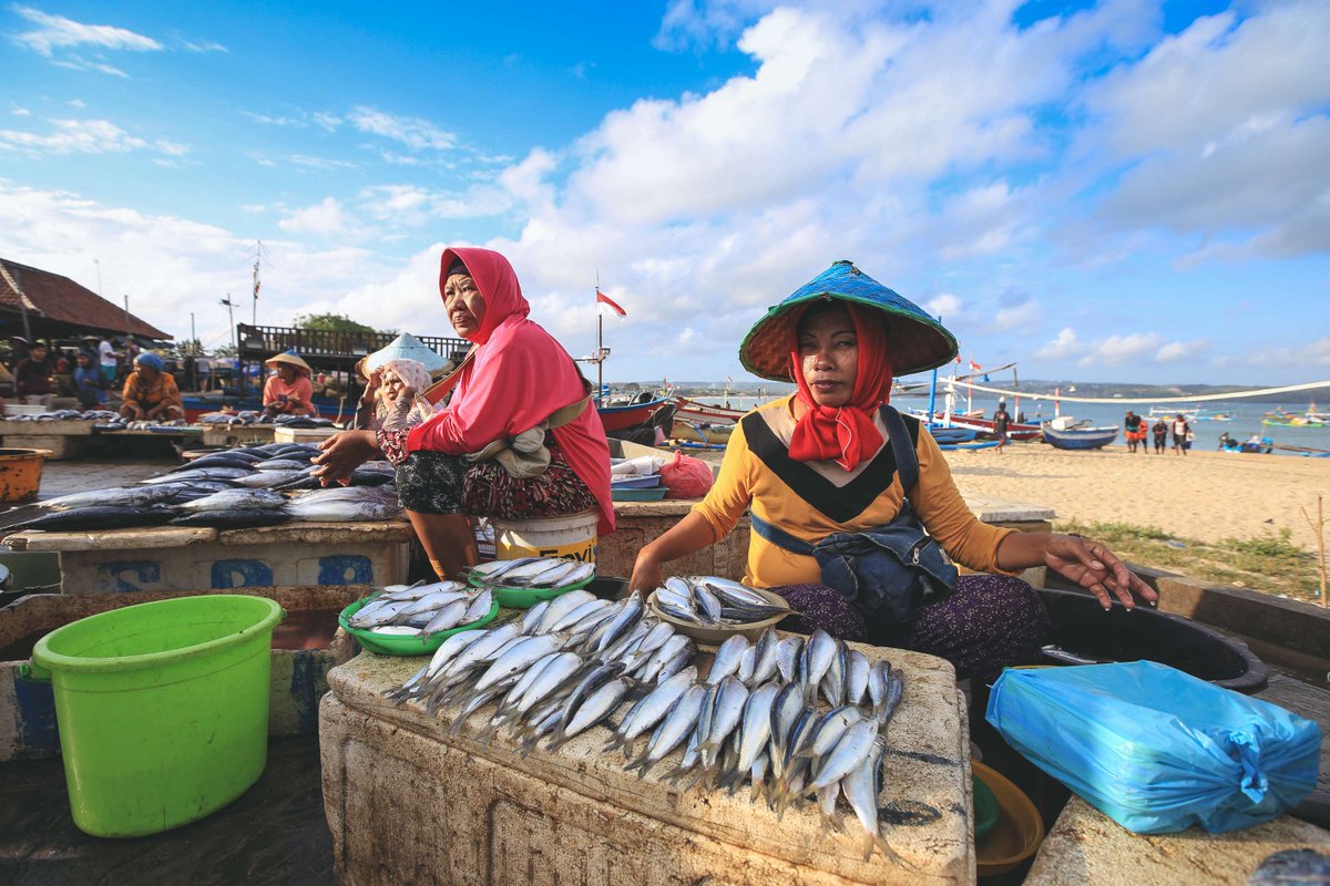 The fishery catch potential of many African countries, including Côte d’Ivoire, DRC, Equatorial Guinea, Gabon, Liberia, and São Tomé and Príncipe, could decrease by 30% or more by 2050. Learn about the impacts of climate change on oceans: wrld.bg/aAKP50RPwq9