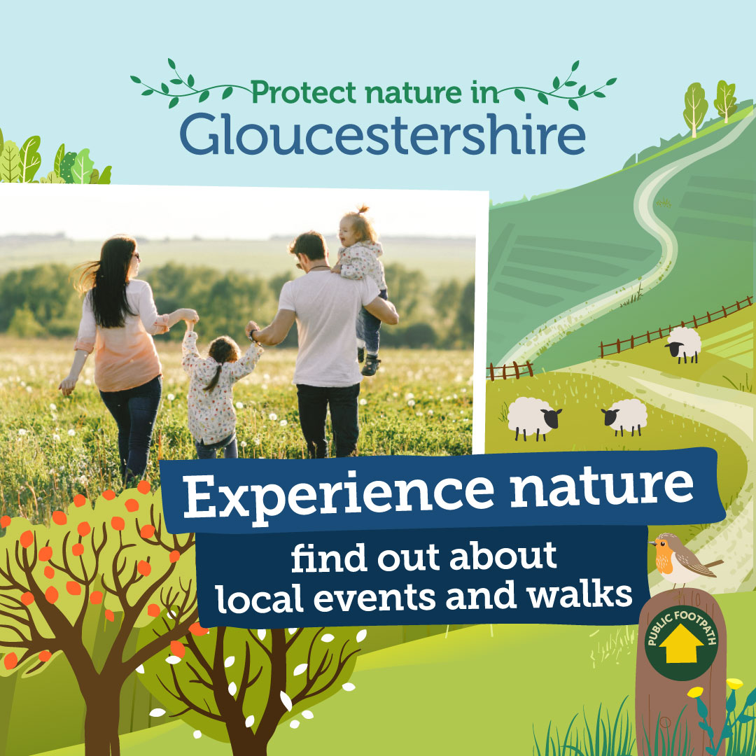 🐞 Discover nature with one of these family-friendly events celebrating Gloucestershire's Biodiversity Week! From building bug hotels and bird feeders, to pond dipping or simply walking in nature, find an event near you and give wildlife a helping hand 👉 ow.ly/1Ey850RQyWm