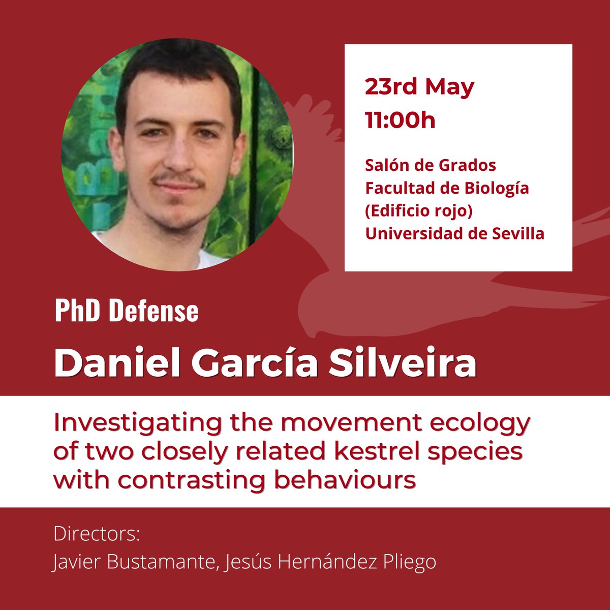Estación Biológica de Doñana - CSIC (@ebdonana) on Twitter photo #EBDPhD Today <a href="/DanielGarSil2/">Daniel García Silveira</a> will be defending his PhD thesis at <a href="/unisevilla/">Universidad de Sevilla</a> 🪶
We wish him the best of luck! 🍀 #EBDPhD Today <a href="/DanielGarSil2/">Daniel García Silveira</a> will be defending his PhD thesis at <a href="/unisevilla/">Universidad de Sevilla</a> 🪶
We wish him the best of luck! 🍀