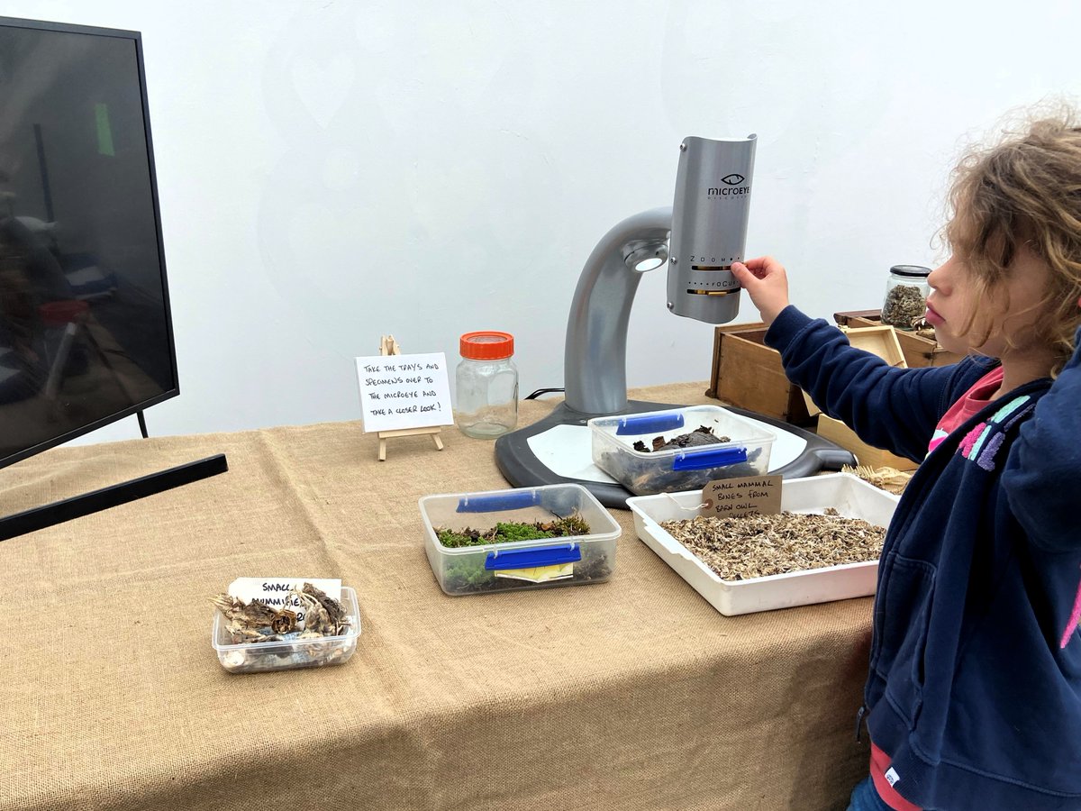 Island Roads tweet media