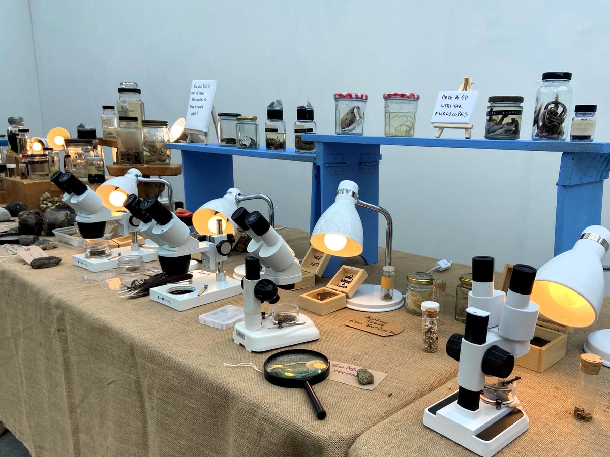 Island Roads tweet media