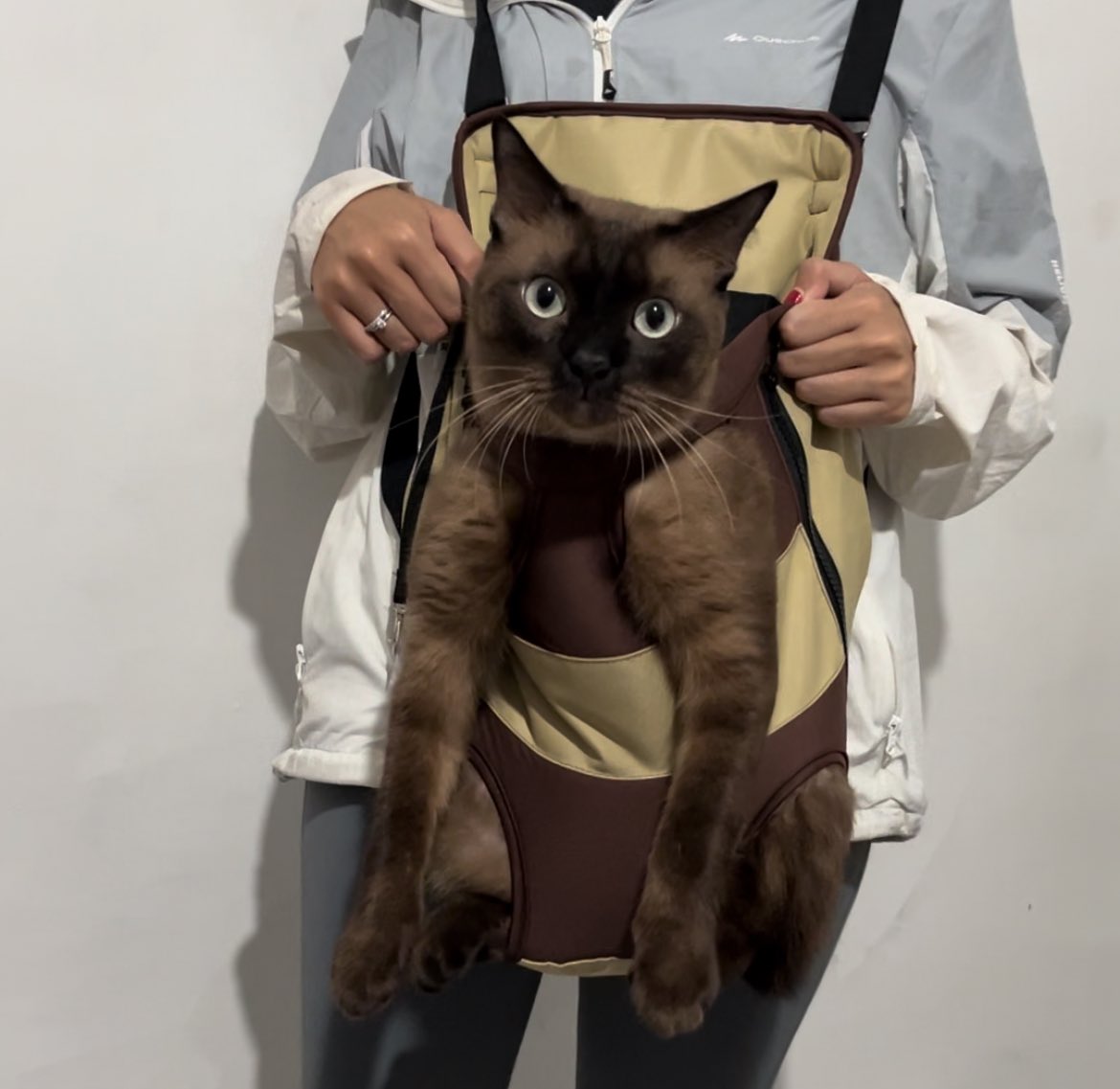 Beyandra Adhitya Xaquille tweet media