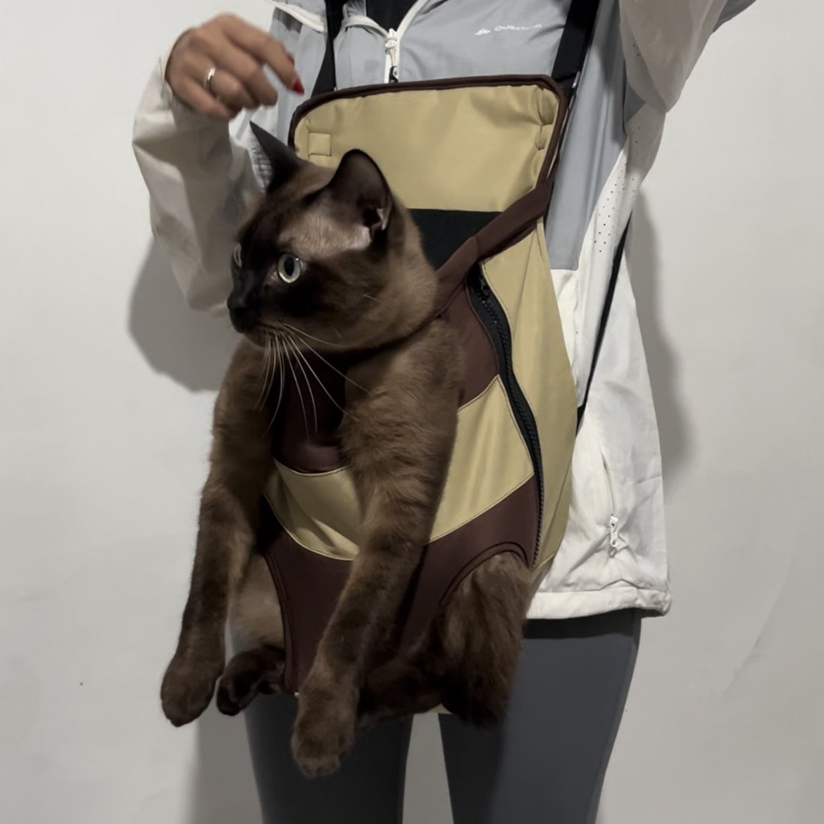 Beyandra Adhitya Xaquille tweet media