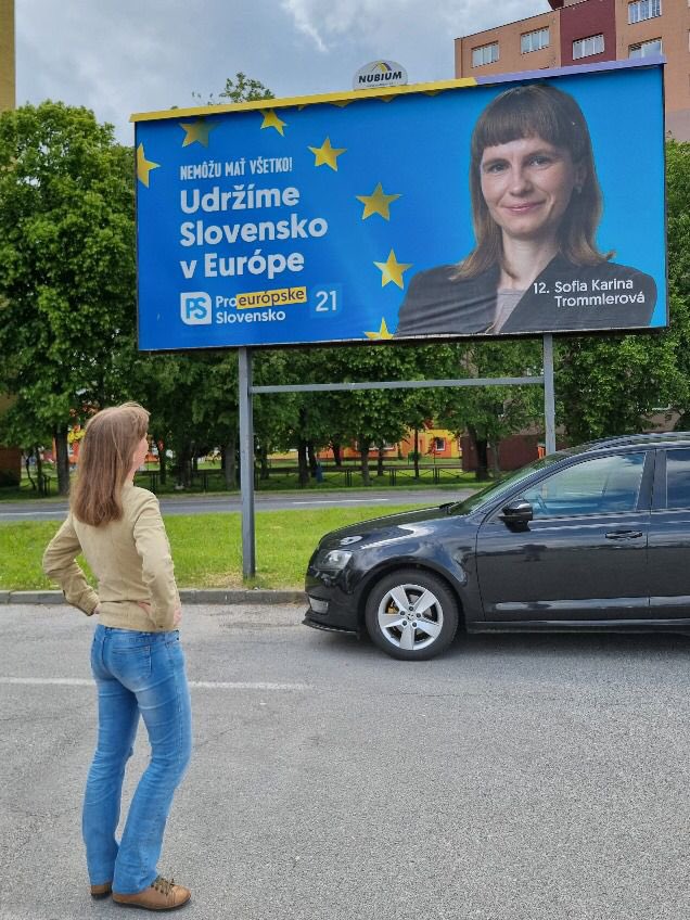 Vote in European Elections on June 8! Vote for Progressive Slovakia 😎💙🇪🇺🇸🇰🙏🏼 #EUElections2024