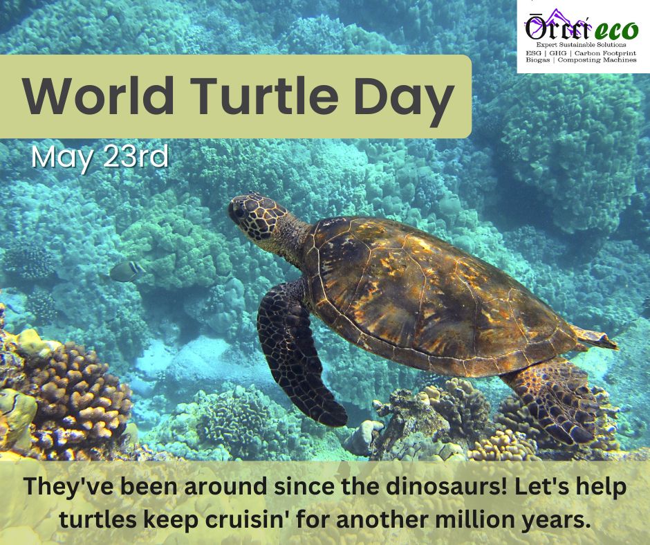 OrcciEco's tweet photo. This World Turtle Day May23rd, let's commit to responsible soil waste management!  Landfills overflowing with trash can leak pollutants that seep into the ground, eventually reaching waterways. This not only harms water quality but also endangers turtles and their habitats.#orcci https://t.co/4FhcXVuIlR