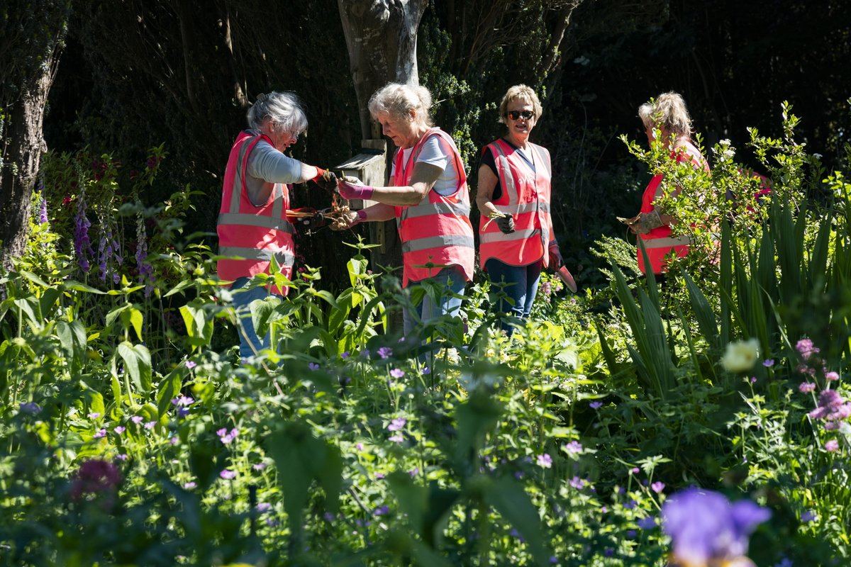 Recent figures suggest the #CommunityRail movement actively engages around 12,000 people in activities linked to biodiversity, nature, the outdoors and enhancing stations as green spaces 🐞🌻

#CommunityRail is so much #MoreThanARailway 🫶 <a href="/transportgovuk/">Department for Transport</a> <a href="/RailDeliveryGrp/">Rail Delivery Group</a>