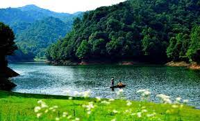 LisaMil772 tweet picture