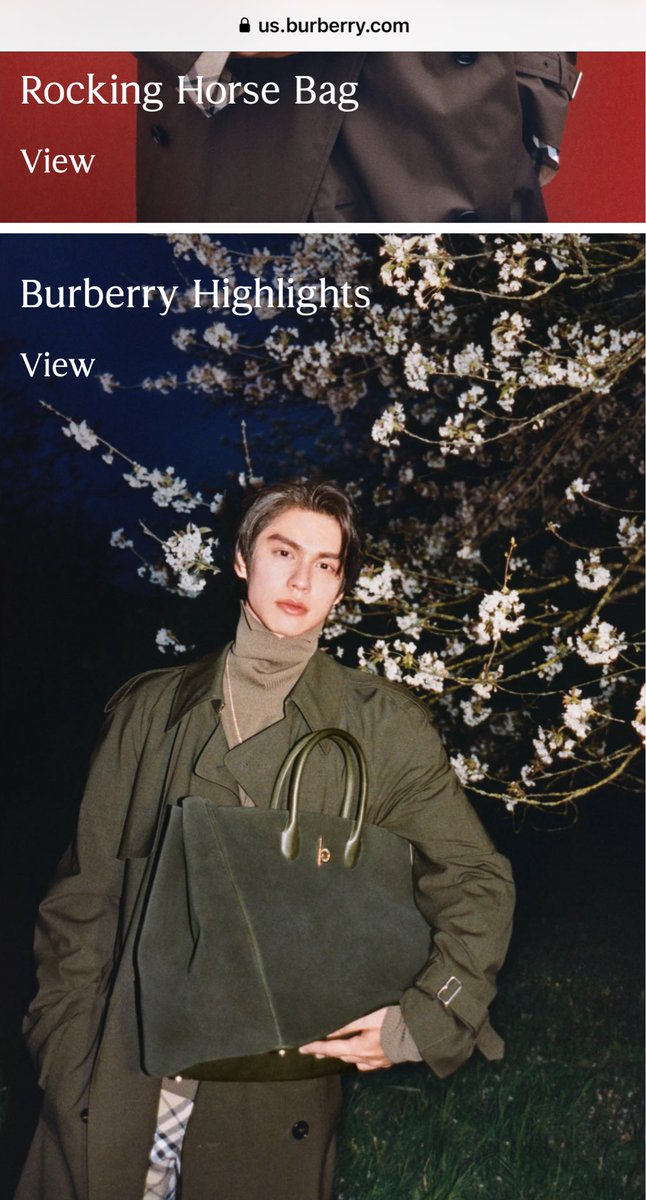 He is on @burberry website !! Officially in UK So proud of you.👏🏻 #burberryxBright #bbrightvc @bbrightvc @burberry