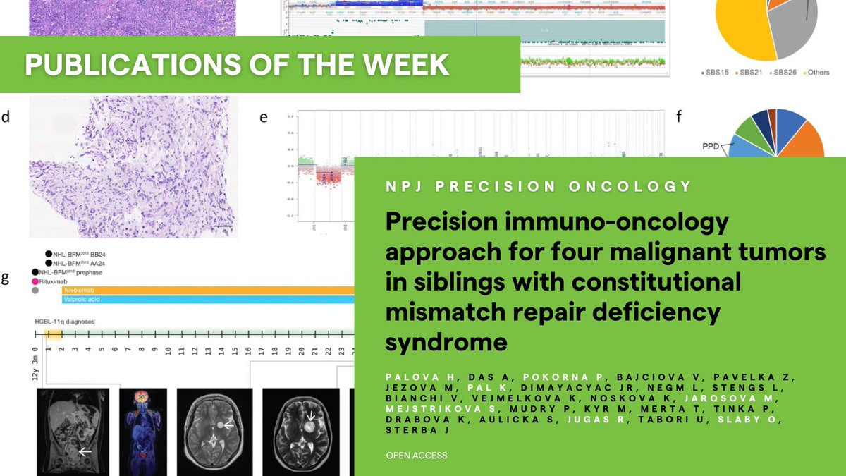 📗 #PublicationsOfTheWeek: 'Precision immuno-oncology approach for four malignant tumors in siblings with constitutional mismatch repair deficiency syndrome' in @Nature_NPJ 🔬 Research Group: @GroupSlaby See more ➡️ nature.com/articles/s4169… #CEITECScience