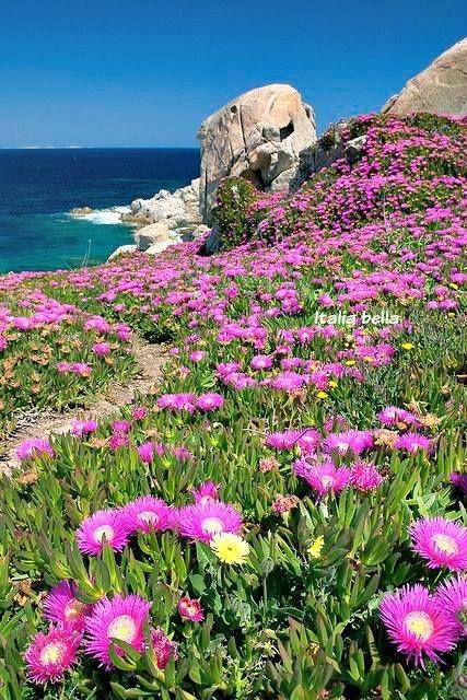 Buona giornata a tutti! Santa Teresa di Gallura, Sardegna