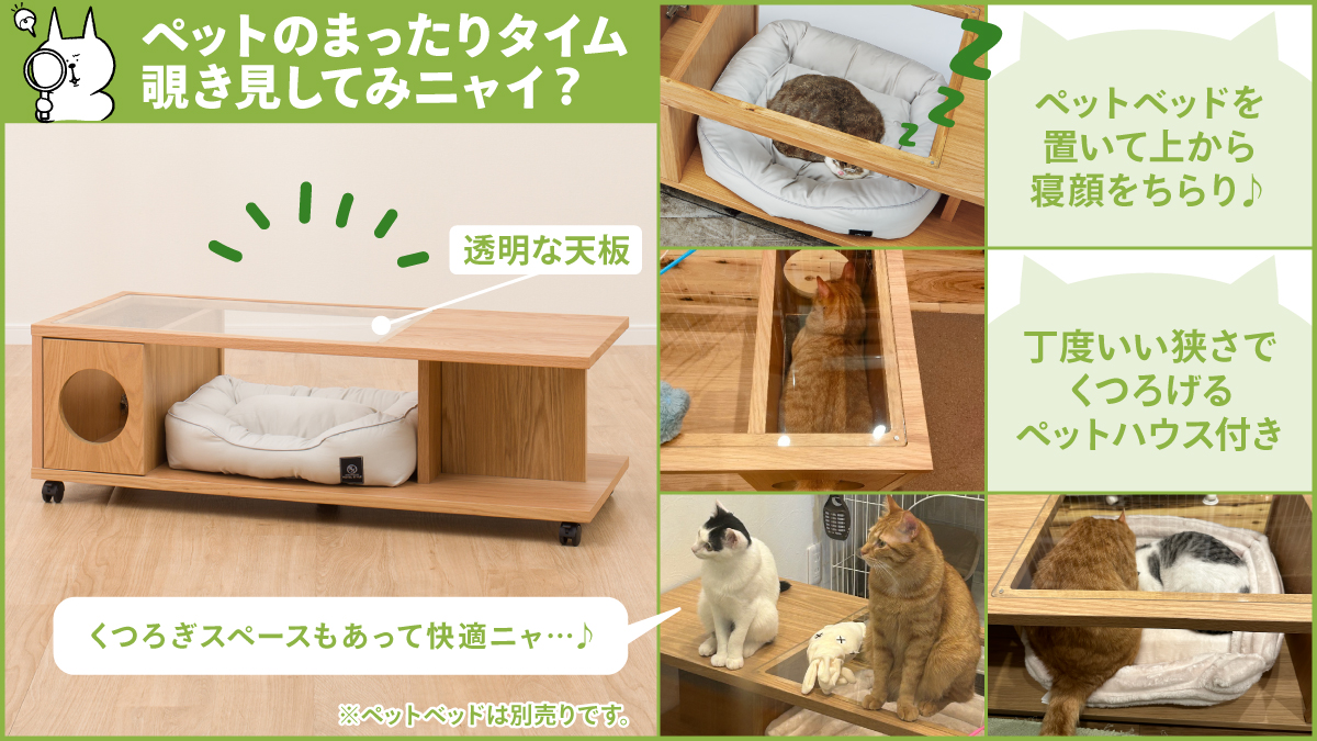 🐱ペットのまったりタイムを覗き見🔎 「ペットハウス付きセンター